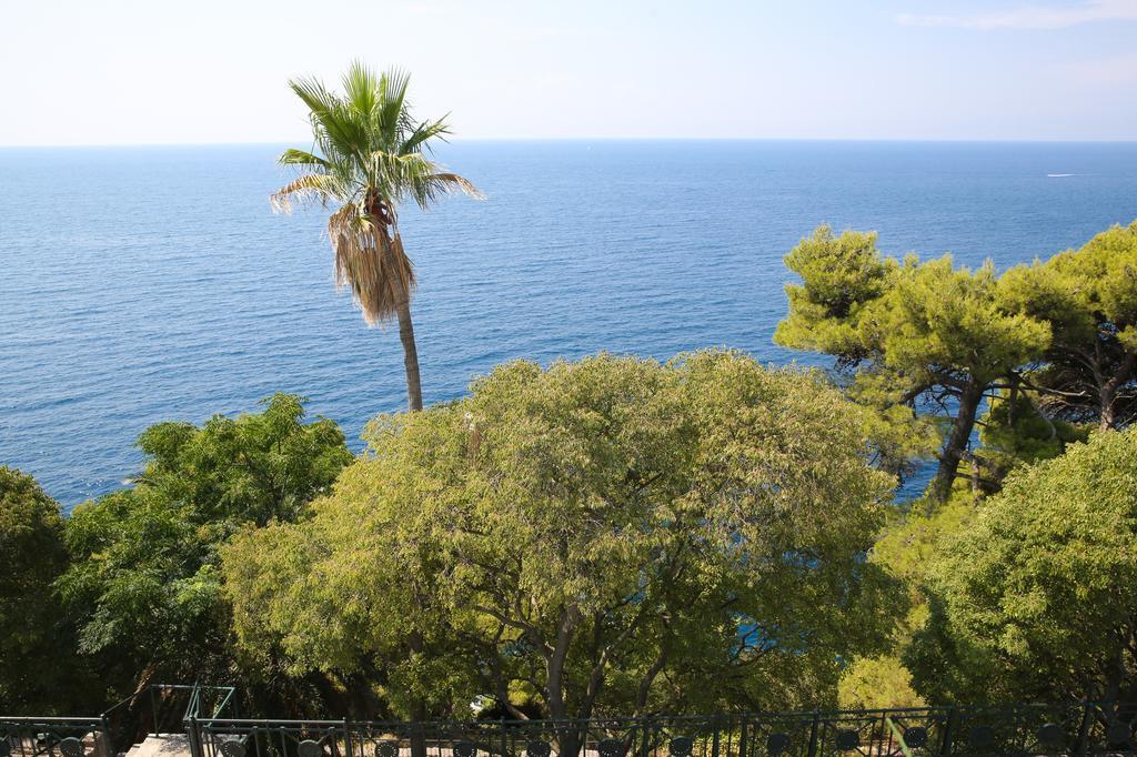 White & Co Villa And Apartments Dubrovnik Extérieur photo